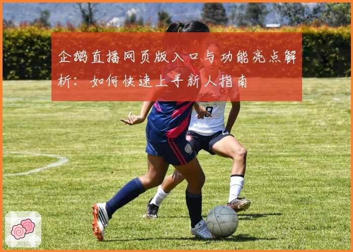 企鹅直播网页版入口与功能亮点解析：如何快速上手新人指南