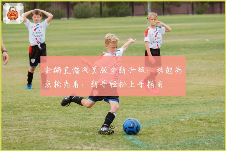 企鹅直播网页版全新升级，功能亮点抢先看，新手轻松上手指南