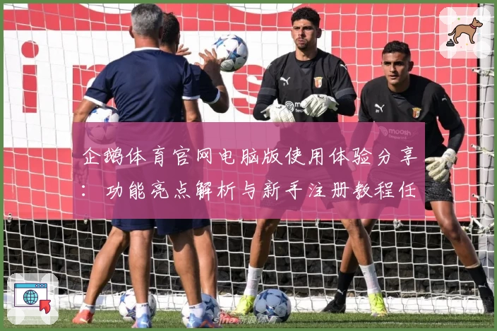 企鹅体育官网电脑版使用体验分享：功能亮点解析与新手注册教程任你畅享