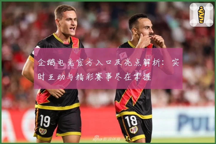 企鹅电竞官方入口及亮点解析：实时互动与精彩赛事尽在掌握