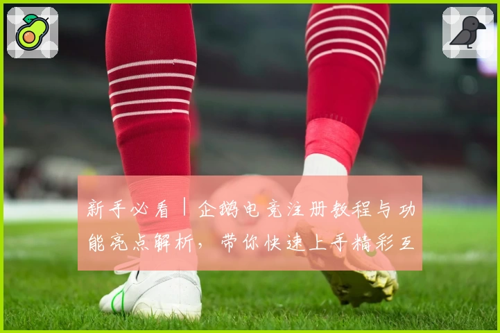 新手必看｜企鹅电竞注册教程与功能亮点解析，带你快速上手精彩互动