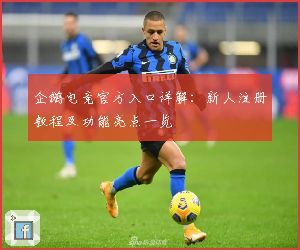 企鹅电竞官方入口详解：新人注册教程及功能亮点一览