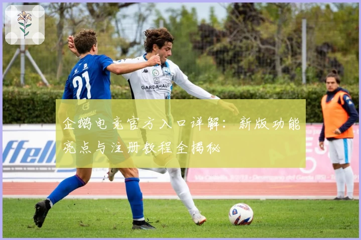 企鹅电竞官方入口详解:新版功能亮点与注册教程全揭秘