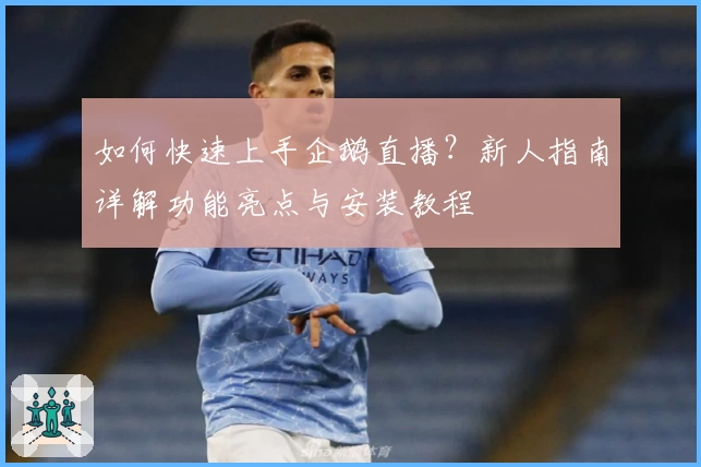 如何快速上手企鹅直播？新人指南详解功能亮点与安装教程