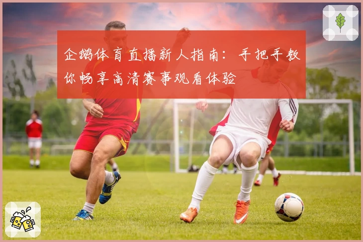 企鹅体育直播新人指南：手把手教你畅享高清赛事观看体验